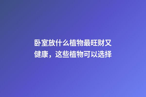 卧室放什么植物最旺财又健康，这些植物可以选择