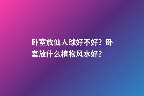 卧室放仙人球好不好？卧室放什么植物风水好？