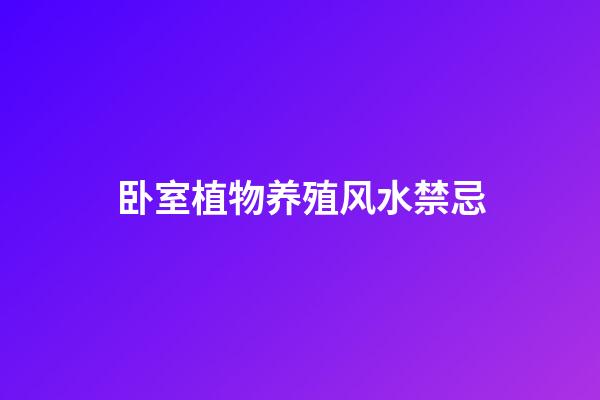 卧室植物养殖风水禁忌