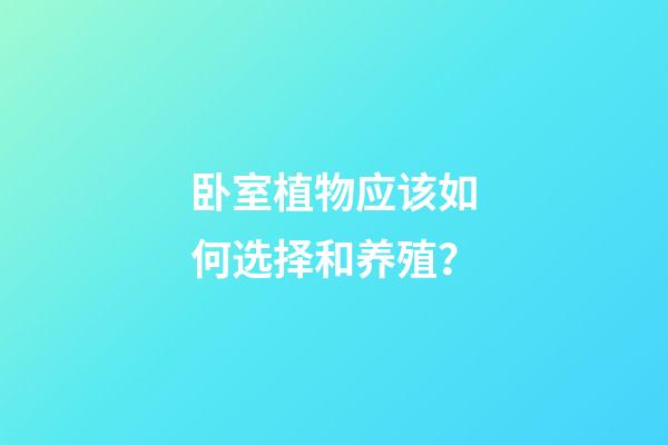 卧室植物应该如何选择和养殖？