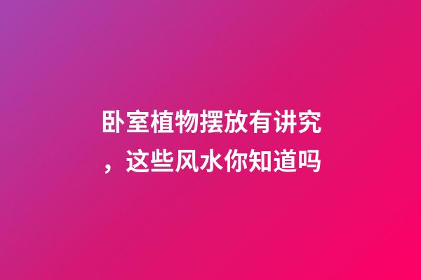 卧室植物摆放有讲究，这些风水你知道吗