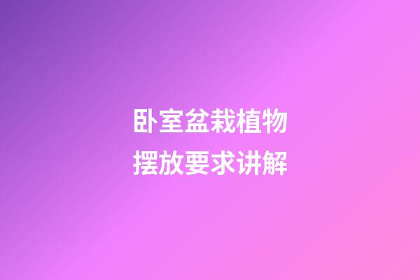 卧室盆栽植物摆放要求讲解