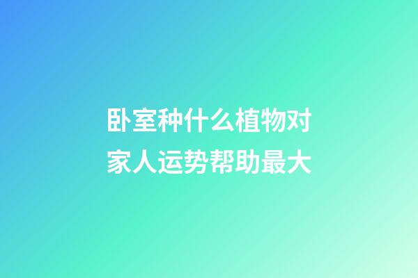 卧室种什么植物对家人运势帮助最大