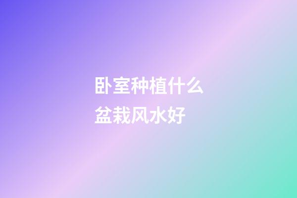 卧室种植什么盆栽风水好