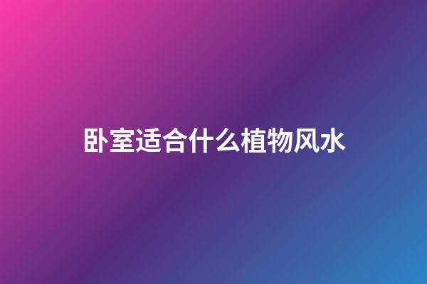 卧室适合什么植物风水