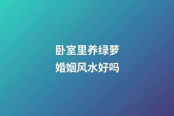 卧室里养绿萝婚姻风水好吗