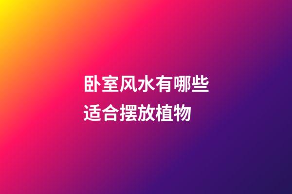 卧室风水有哪些适合摆放植物