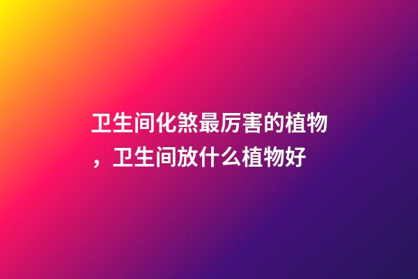 卫生间化煞最厉害的植物，卫生间放什么植物好
