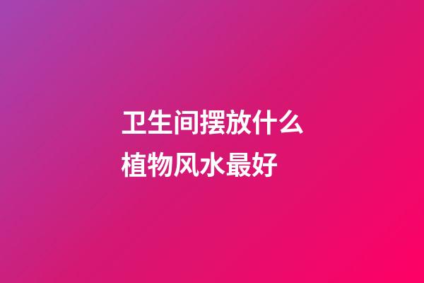 卫生间摆放什么植物风水最好