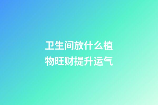 卫生间放什么植物旺财提升运气