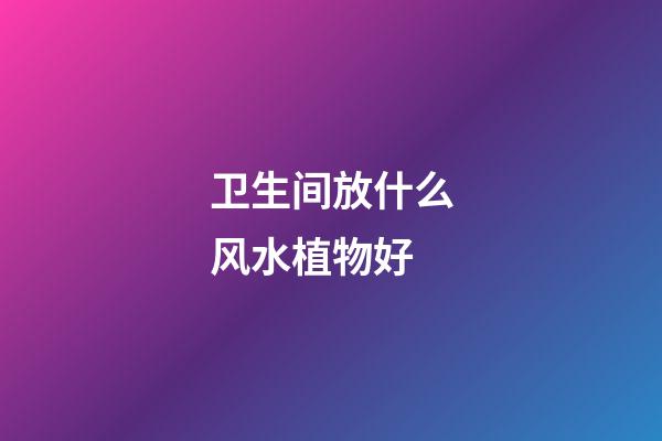 卫生间放什么风水植物好