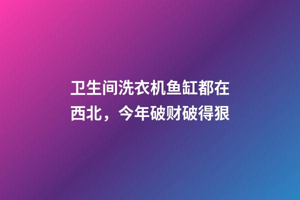 卫生间洗衣机鱼缸都在西北，今年破财破得狠