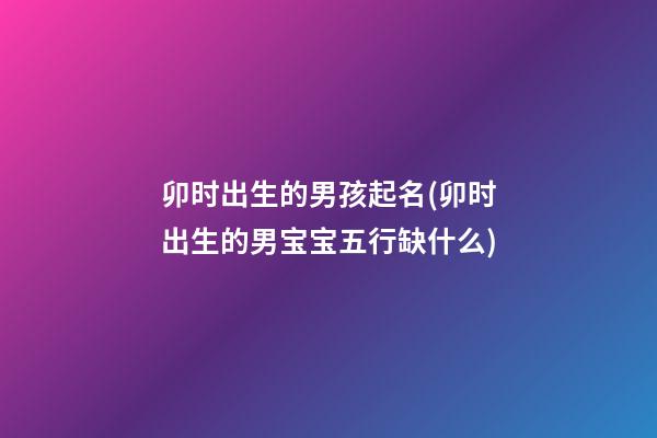 卯时出生的男孩起名(卯时出生的男宝宝五行缺什么)