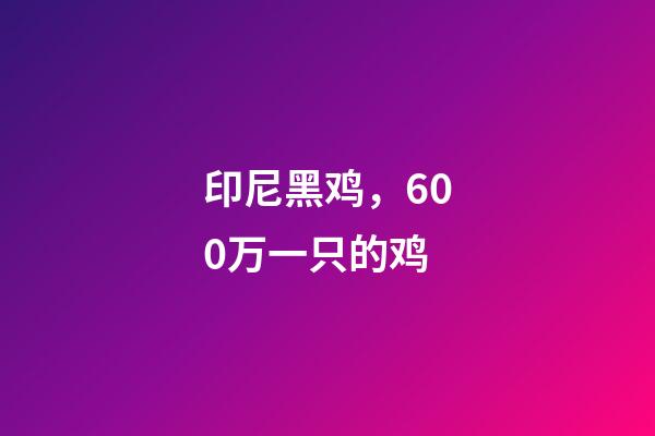 印尼黑鸡，600万一只的鸡-第1张-观点-玄机派