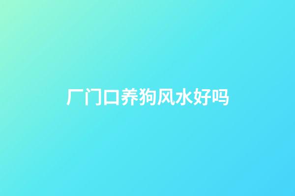 厂门口养狗风水好吗