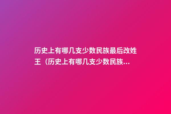 历史上有哪几支少数民族最后改姓王（历史上有哪几支少数民族最后改姓王的）