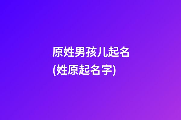 原姓男孩儿起名(姓原起名字)