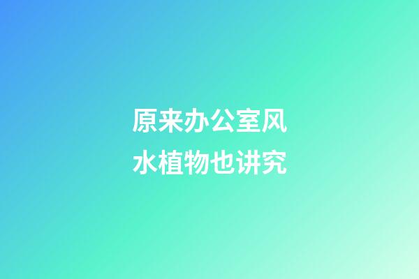原来办公室风水植物也讲究