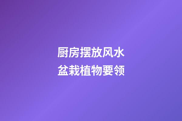 厨房摆放风水盆栽植物要领