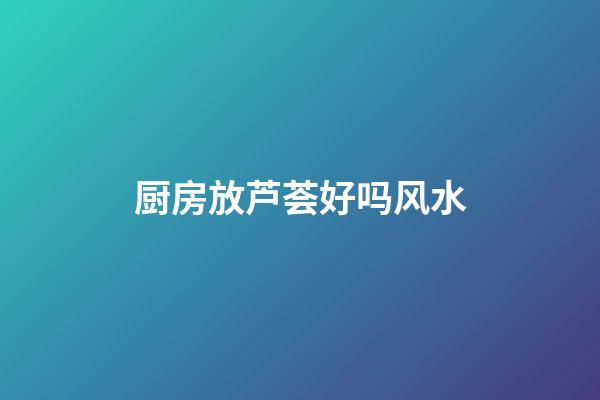 厨房放芦荟好吗风水