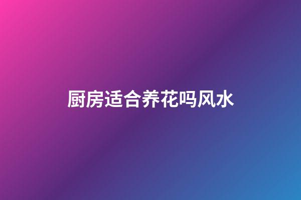 厨房适合养花吗风水