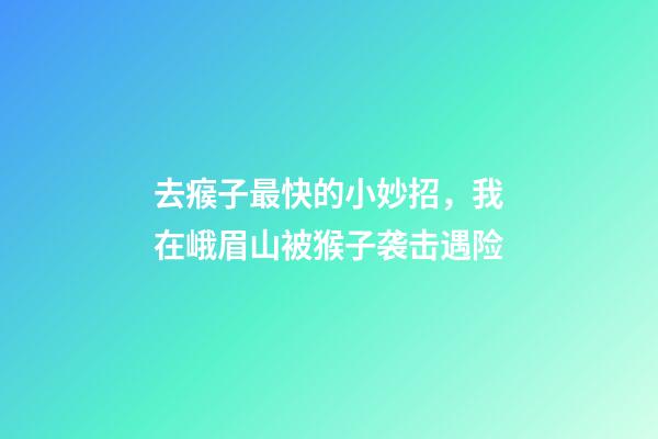 去瘊子最快的小妙招，我在峨眉山被猴子袭击遇险-第1张-观点-玄机派
