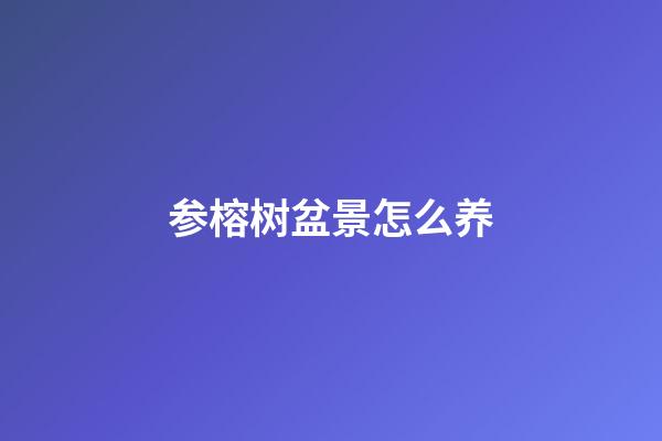 参榕树盆景怎么养