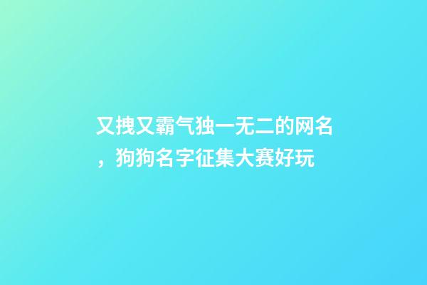 又拽又霸气独一无二的网名，狗狗名字征集大赛好玩-第1张-观点-玄机派