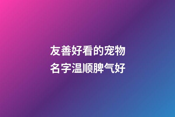 友善好看的宠物名字温顺脾气好