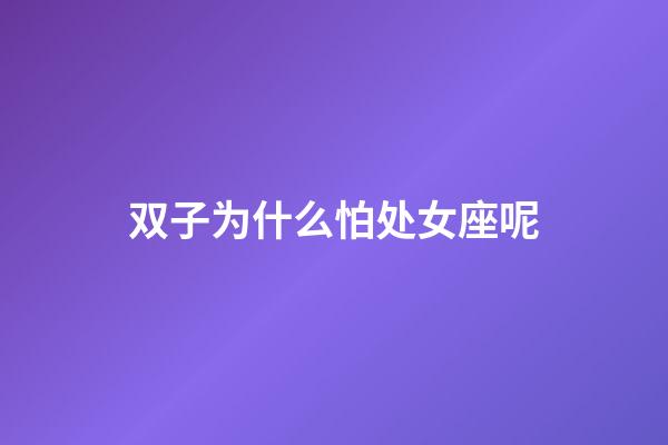 双子为什么怕处女座呢-第1张-星座运势-玄机派