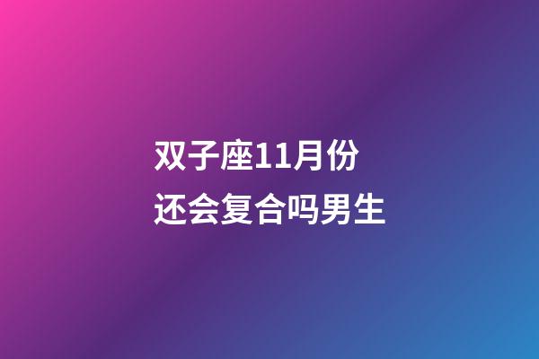 双子座11月份还会复合吗男生-第1张-星座运势-玄机派