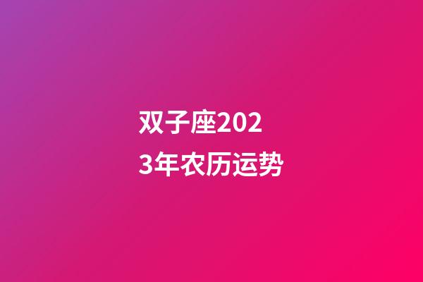 双子座2023年农历运势-第1张-星座运势-玄机派