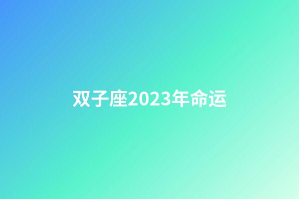 双子座2023年命运-第1张-星座运势-玄机派