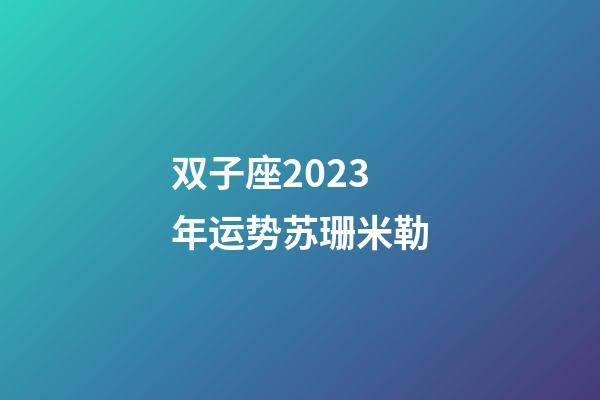 双子座2023年运势苏珊米勒-第1张-星座运势-玄机派
