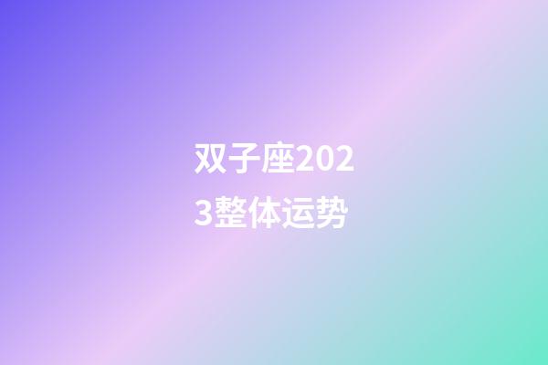 双子座2023整体运势-第1张-星座运势-玄机派