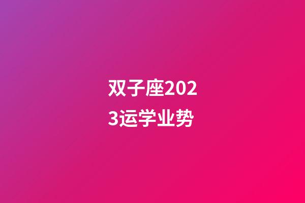 双子座2023运学业势-第1张-星座运势-玄机派