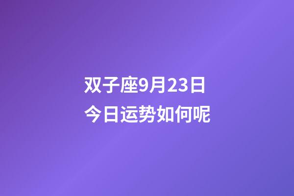 双子座9月23日今日运势如何呢-第1张-星座运势-玄机派