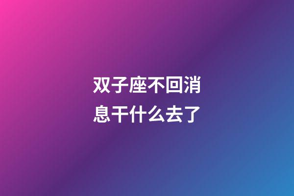 双子座不回消息干什么去了-第1张-星座运势-玄机派