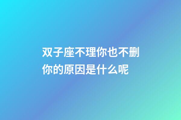 双子座不理你也不删你的原因是什么呢-第1张-星座运势-玄机派