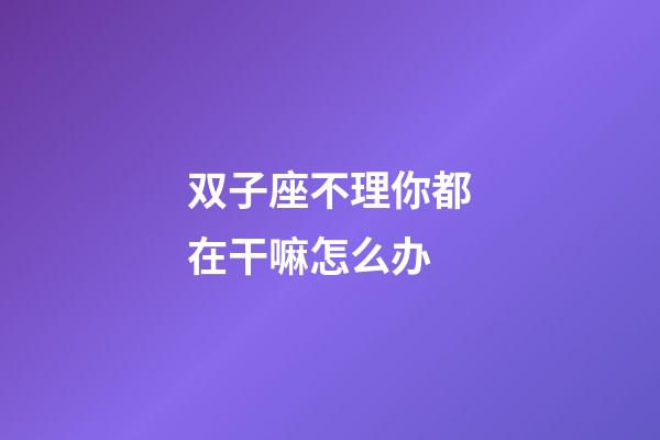 双子座不理你都在干嘛怎么办-第1张-星座运势-玄机派