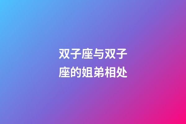 双子座与双子座的姐弟相处-第1张-星座运势-玄机派
