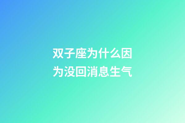 双子座为什么因为没回消息生气-第1张-星座运势-玄机派
