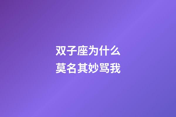 双子座为什么莫名其妙骂我-第1张-星座运势-玄机派