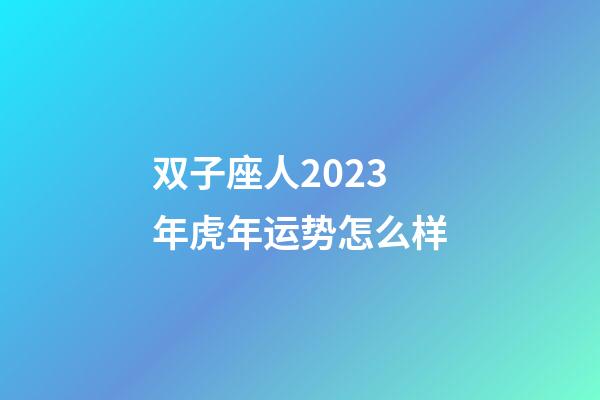 双子座人2023年虎年运势怎么样-第1张-星座运势-玄机派