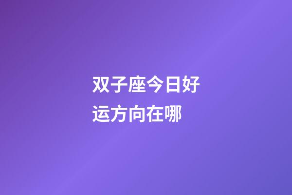 双子座今日好运方向在哪-第1张-星座运势-玄机派