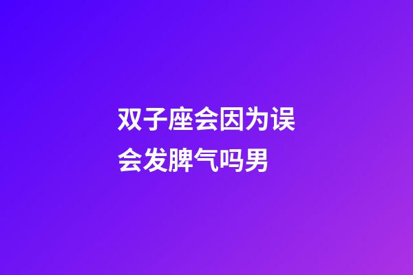 双子座会因为误会发脾气吗男-第1张-星座运势-玄机派
