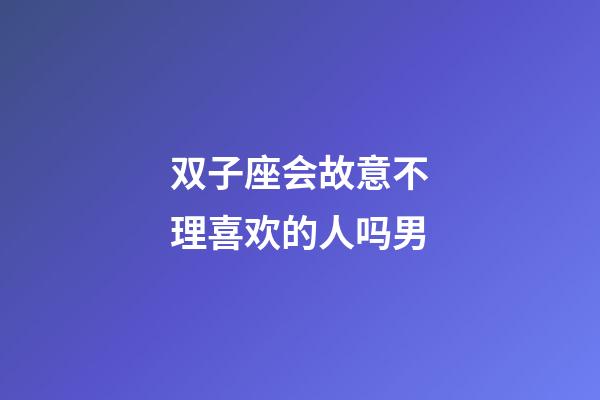 双子座会故意不理喜欢的人吗男-第1张-星座运势-玄机派