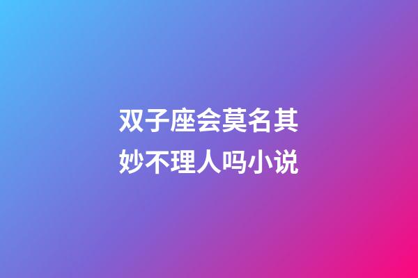 双子座会莫名其妙不理人吗小说-第1张-星座运势-玄机派