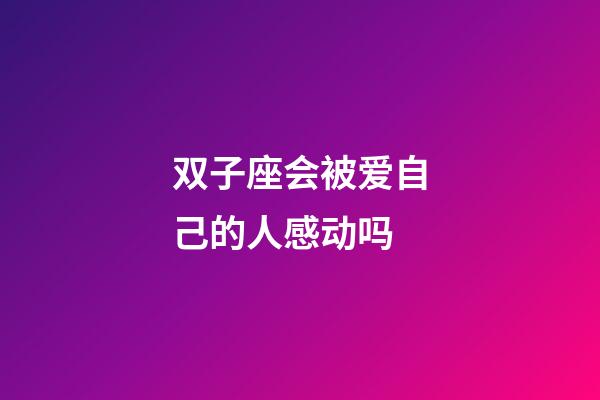 双子座会被爱自己的人感动吗-第1张-星座运势-玄机派
