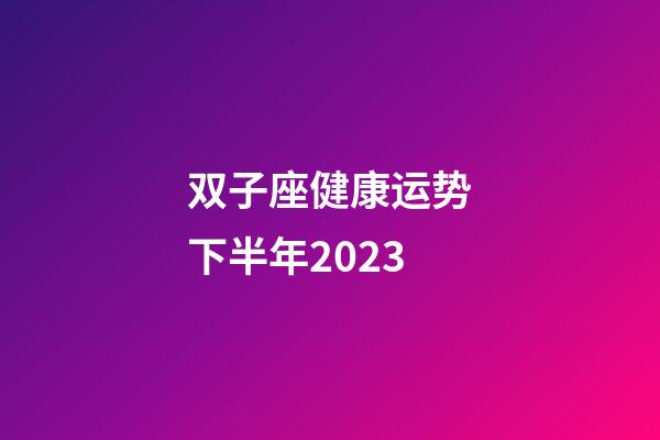 双子座健康运势下半年2023-第1张-星座运势-玄机派